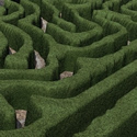 maze