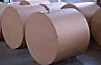 newsprint rolls