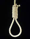 noose